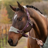 LeMieux Horse Halters & Lead Ropes