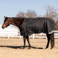 Medium Weight Blankets 180g-250g