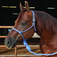 Professional's Choice Halters