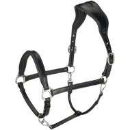 Horse Halters and Leads