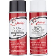 Stain Remover & Spot Treatments