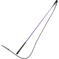 Horse Training Whips & Flags