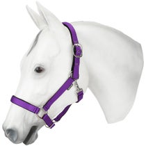 Centaur Padded Breakaway Halter Purple Horse