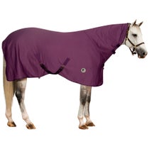 Centaur Turbo-Dry Sheet w/ Neck Orchid LG Horse