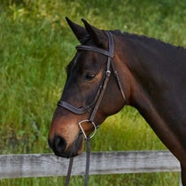 Bobby's Tack Padded Dressage Weymouth Double Bridle