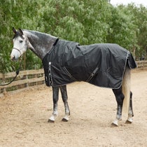 Equinavia Norse Turnout Sheet/Blanket 0G