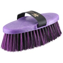Haas Brenig Madoc Grooming Brush Purple