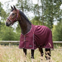 Horze Glasgow Light Weight Turnout Sheet Blanket 0G