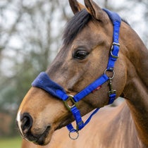 LeMieux Vogue Halter Navy/Royal Blue Pony