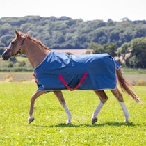 Shires Tempest Lite Solid Turnout Sheet/Blanket 0G