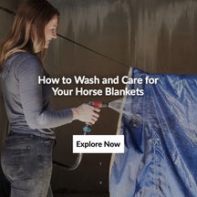How to Wash and Care for Horse Blankets