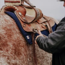 EcoGold Saddle Pads - A Complete Guide