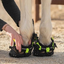 Explora Hoof Boots Review & FAQs