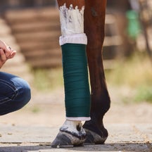 How to Wrap & Poultice a Horse Leg