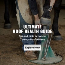 Ultimate Hoof Health Guide