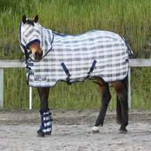 Kensington Fly Protection REVIEWED