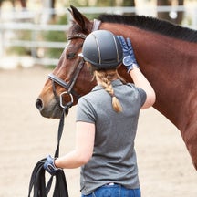 How to Lunge a Horse Safely