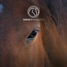 A Guide to the Perfect Prep Calming System