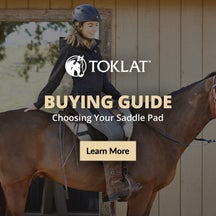 Toklat Saddle Pad Buying Guide