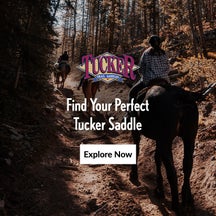 Your Perfect Tucker Saddle