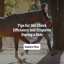 Prep & Vetting Tips for the Tevis Cup