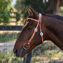 Berlin Custom Hermann Oak Leather Browband Headstall