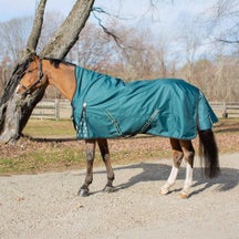 Equinavia Arktis Extended Neck Turnout Blanket 200G