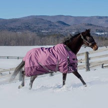 Equinavia Norse MidWeight Turnout Blanket 200G