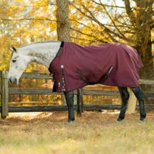 Equinavia Norse Pony Turnout Sheet/Blanket 0g