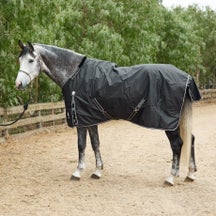 Equinavia Norse 600D Turnout Sheet/Blanket 0g