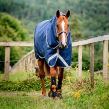 Horseware Amigo 1200D Plus Turnout Sheet/Blanket 0G