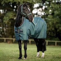 Horseware Amigo Ripstop 900D Turnout Blanket Lite 0G