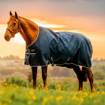 Horseware Amigo Ripstop 900D Turnout Blanket 0G