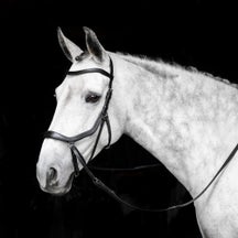 Horseware Micklem Bitless Bridle