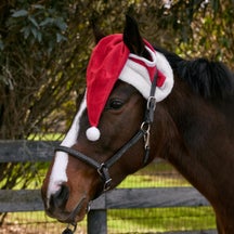 Horze Santa Horse Cap