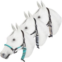 Kavalkade Cavo Padded Leather Rope Halter & Leadrope