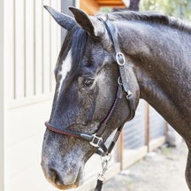 Kavalkade Cavo Padded Leather Rope Halter & Leadrope