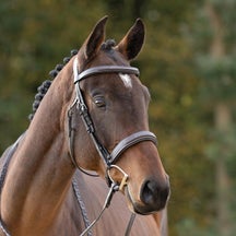 Kavalkade Benita Anatomical Adjustable Hunter Bridle