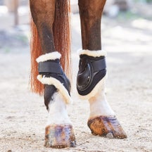 Kavalkade Compete N' Wool Hind Fetlock Jumping Boots