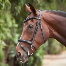Kavalkade Everyday Bridle Black/Brown Pony