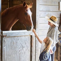 Kid's Horse Camp - An Easy Shopping Starter Kit