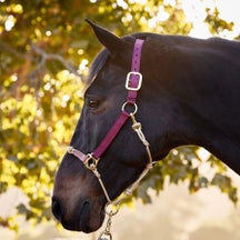 Weaver Rope Nylon Hybrid Horseman's Halter w/Side Ring