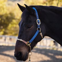 Weaver Rope Nylon Hybrid Horseman's Halter w/Side Ring