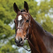 Kincade Plain Raised English Bridle