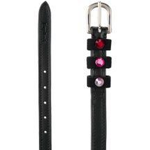 Kavalkade Spring Seasons Dreams Leather Spur Straps