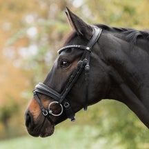 Kavalkade Zora German Leather Padded Adjustable Bridle 