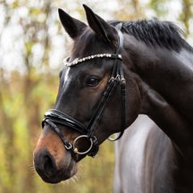 Kavalkade Zora German Leather Padded Adjustable Bridle 