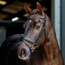 LeMieux Arika Dressage Bridle