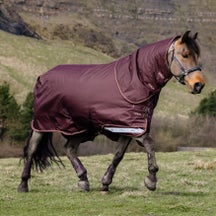 LeMieux Arika Pony Rug Ripstop Turnout Blanket 200g