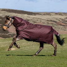 LeMieux Arika 600D Rug Ripstop Turnout Blanket 0G